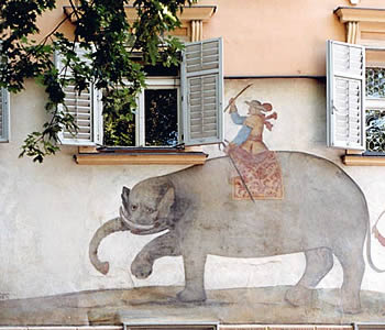Albergo 4 stelle Bressanone - Albergo Elephant-Elefante