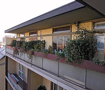 Bed and breakfast Firenze - Bed and breakfast Residenza Giulia