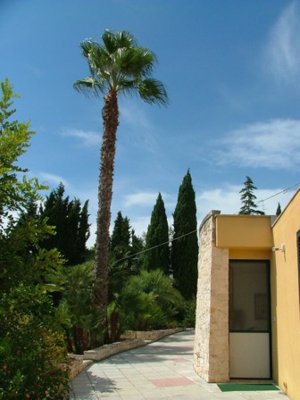 Bed and breakfast Lecce - Bed and breakfast Villa Djerba