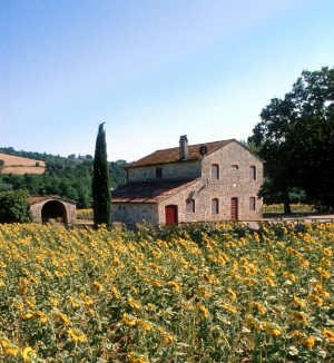 Farm Home 4 stelle Orvieto - Farm Home Podere Ponticello