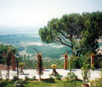 Bed and breakfast 3 stelle Palaia - Bed and breakfast Villa il Torrino