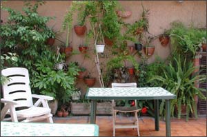 Bed and breakfast Roma - Bed and breakfast Alberone