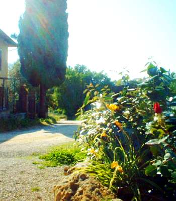 Bed and breakfast San Gimignano - Bed and breakfast Locanda Viani