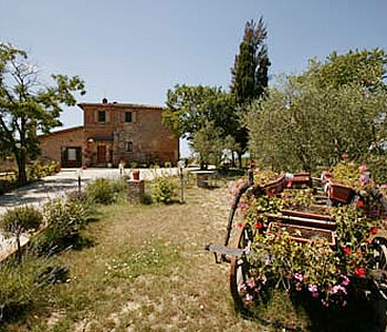 Farm Home Siena - Farm Home Il Lucherino
