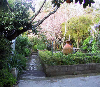 Bed and breakfast<br> stelle in Sorrento - Bed and breakfast<br> La Gallina Felice 
