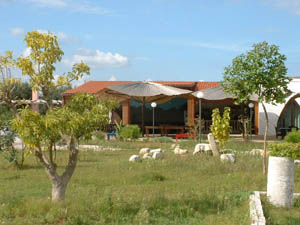 Farm Home 2 stelle Vernole - Farm Home Villa Conca Marco