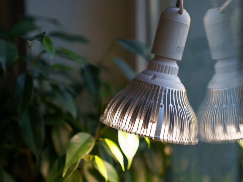 Guida alla scelta della lampada per la coltivazione indoor