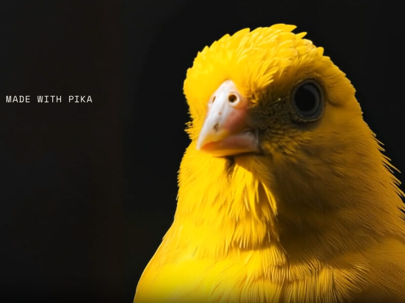 Pika Labs, la video AI perfetta per animazioni brevi e social content