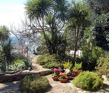 Bed and breakfast Matino - Bed and breakfast Sosta a Levante