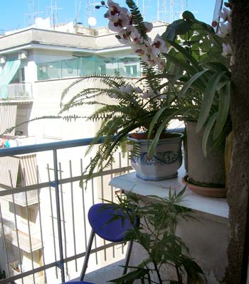 Bed and breakfast Roma - Bed and breakfast Abruzzese